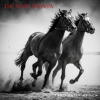 Can't Catch Me Now - Single - The Fever Dreams & Jamie N Commons