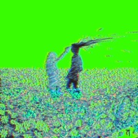 WASTE OF TIME - Single - Felxny