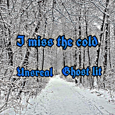 I miss the cold (feat. Ghost lit) - Single