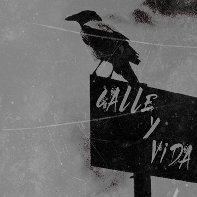 Calle y Vida (feat. Reider REJ & Ciudad Meteoro) - Single