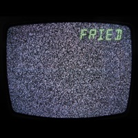 FRIED - Single - DavidTheTragic