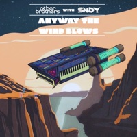 Anyway The Wind Blows - Single - SNDY & OtherBrothers