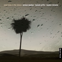 Small Holes in the Silence - Hannah Griffin, Norman Meehan & Hayden Chisholm