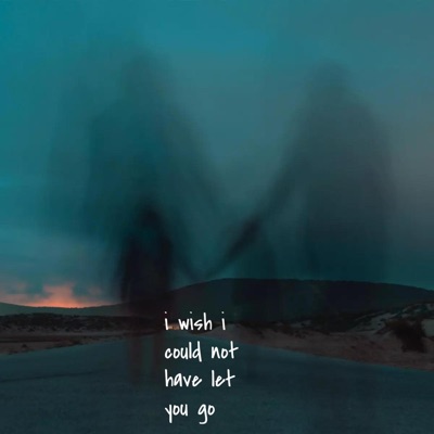 I Wish I Could Not Have Let You Go - Single