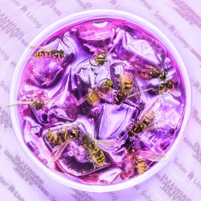 Sober Living (feat. Dream Caster & Joeyy) - Single