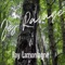Ray Lamontagne - Jej Ravage lyrics