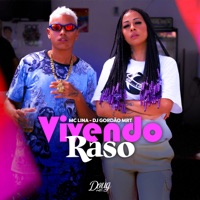 Vivendo Raso - Single - mc lina, Dj gordão do MRT & Doug Hits