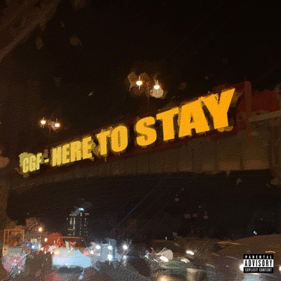HERE TO STAY (feat. Rehman Ansary & Hassan Khan) - EP