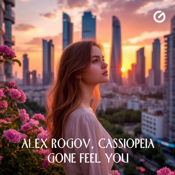 Gone Feel You - Single