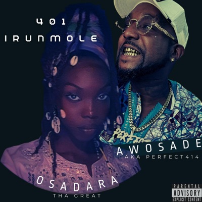 401 Irunmole (feat. Perfect) - Single