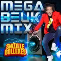 Mega Beukmix