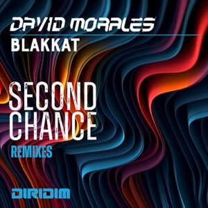 SECOND CHANCE Remixes - Single