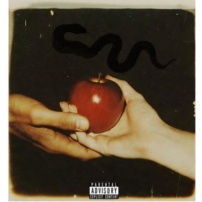 $nake - Single