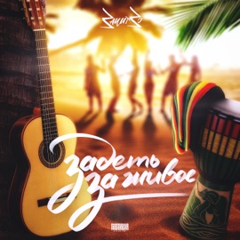 Задеть за живое (feat. Daler) ЗачитЗо