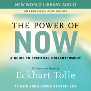 audiobook The Power of Now