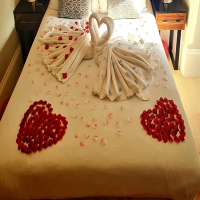 Bedroom Bully - Single