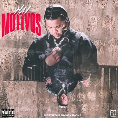 Hay Motivos - Single