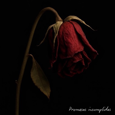 Promesas Incumplidas - Single