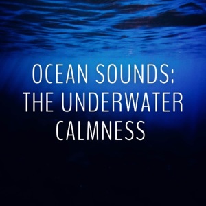 Ocean Sounds: The Underwater Calmness