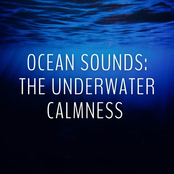 Ocean Sounds: The Underwater Calmness