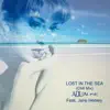 Lost in the Sea