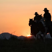 Eu Tava Aqui Pensando (Remix) - Single - pjnobeat