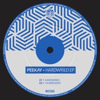 Hardwired - Single - Peekay