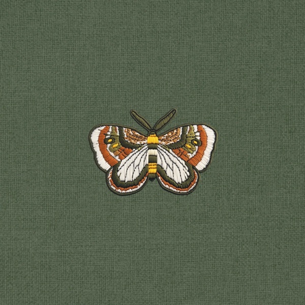 Ballet of Moth - Single