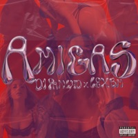 Amigas - Single - Lex Bm & Dj Pancho