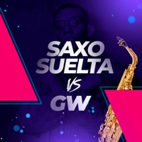 Saxo Suelta Vs Gw - Single - Dj Thiago Rodrigues
