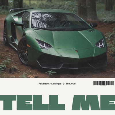 Tell Me 2.0 (feat. La Mingo & 21THEARTIST) - Single