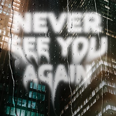 NEVER SEE YOU AGAIN - Single