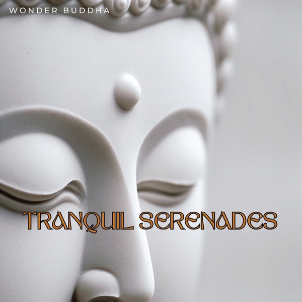 Tranquil Serenades: Beyond the 432 Hz Horizon