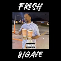 Fresh - Single - bigave