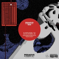 Not Far Behind - Single - Pegasvs