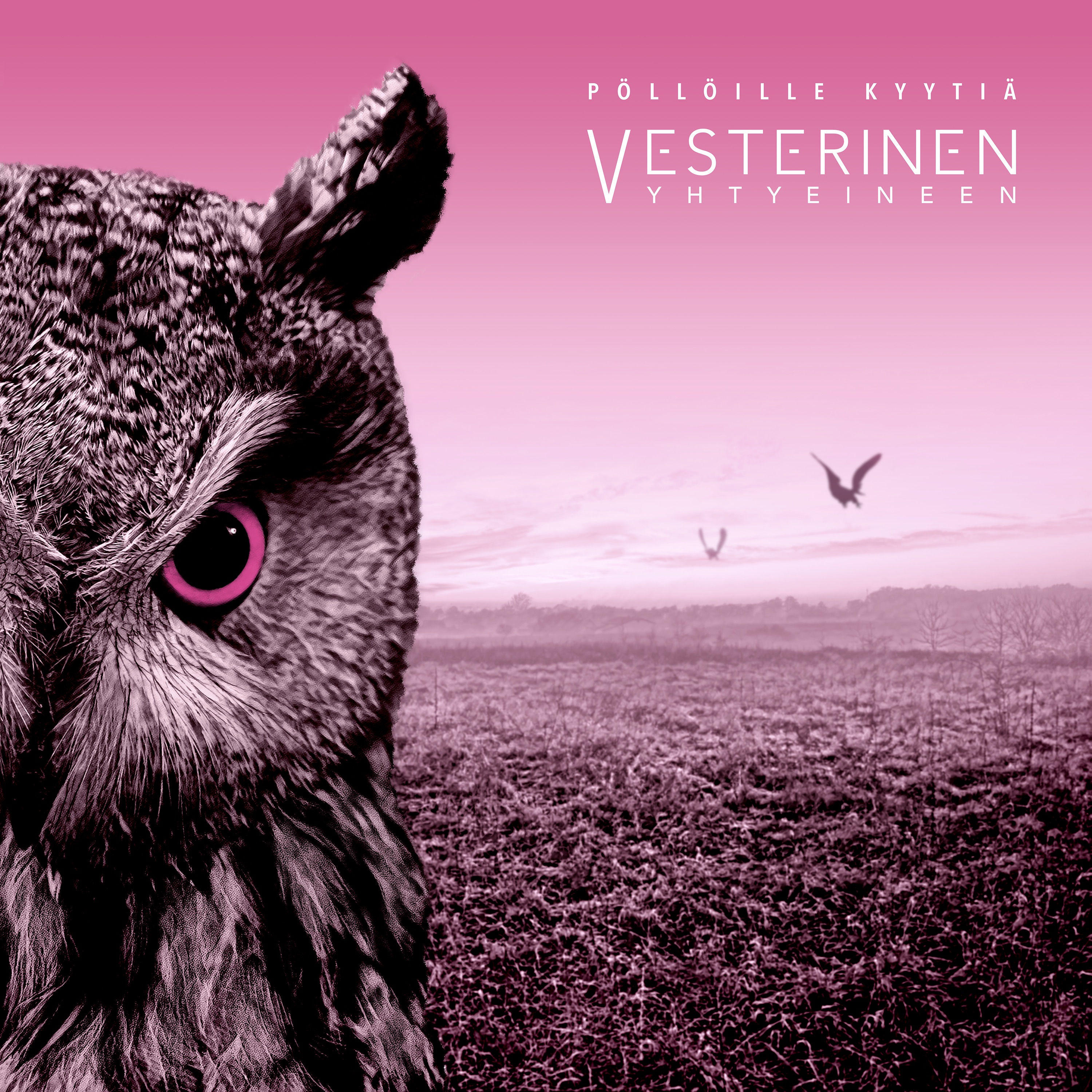 Vesterinen Yhtyeineen - Pöllöille kyytiä