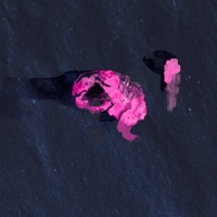 Voice of Reason - Single - Aaron Payne