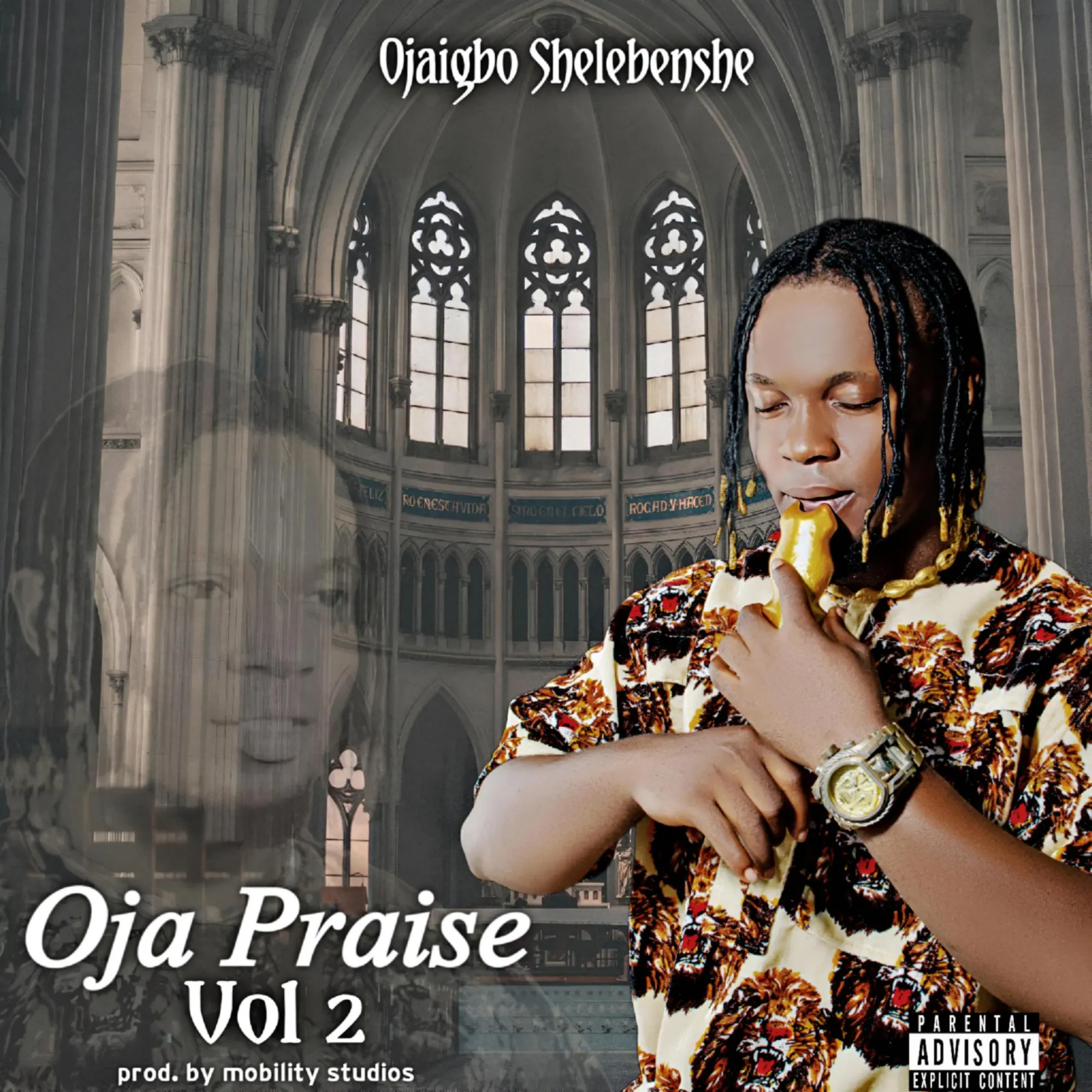 Oja Praise (Vol 2) - Single - album by Ojaigbo Shelebenshe