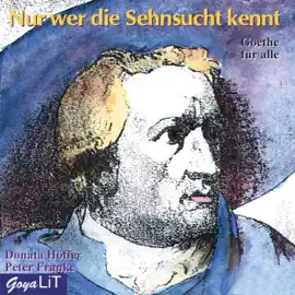 Nur wer die Sehnsucht kennt (Goethe für alle)