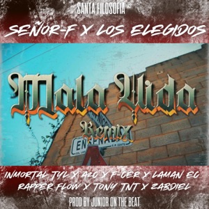 Mala Vida (feat. Inmortal TYL, Los Elegidos, A2C, F - Cer, Rapper Flow, Zabdiel, Laman EC & Tony TNT) [Remix]