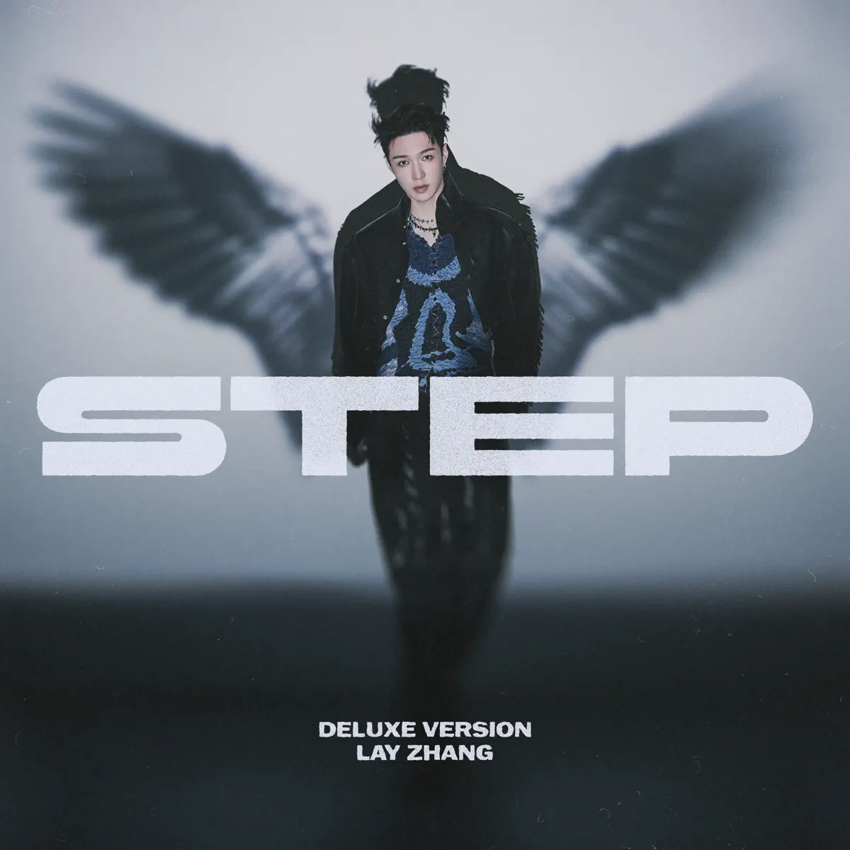 張藝興 - STEP (Deluxe Version) (2024) [iTunes Plus AAC M4A]-新房子