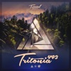 You Know (Disco Tool) [Tritonia 493] [Mixed] cover art
