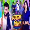 Rangbaaz Jila - Single