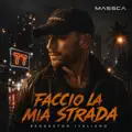 Faccio la mia strada