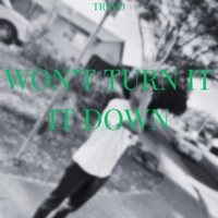 Won't Turn it down - Single - Trevo