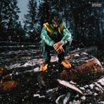Out The Woods
