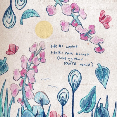 lupine + pink bonnet - Single