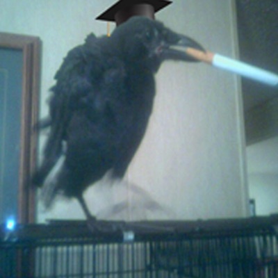 Kinzua School - Single