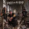 Voices In My Head
