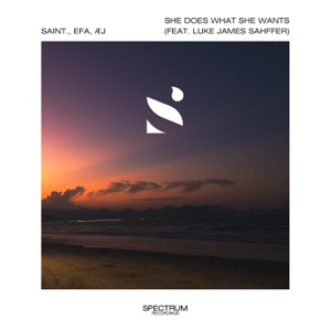 She Does What She Wants (feat. Luke James Shaffer)